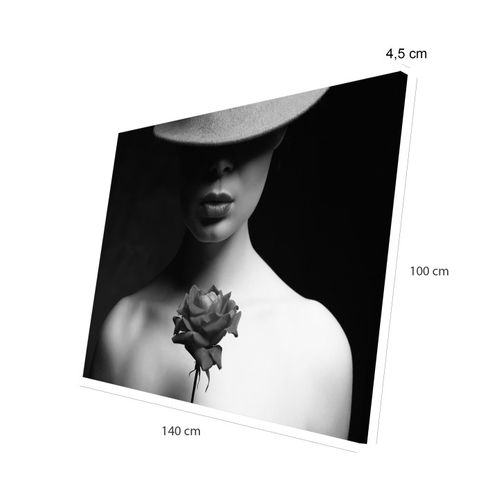 Cuadro Plano Fotografía Diseño Sombra con Rosa Cuadro Plano Fotografía Diseño Sombra con Rosa