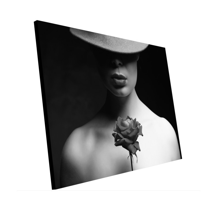 Cuadro Plano Fotografía Diseño Sombra con Rosa Cuadro Plano Fotografía Diseño Sombra con Rosa