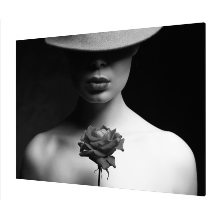 Cuadro Pintura Digital Sombra con Rosa