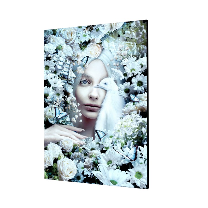 Cuadro Plano Fotografía Diseño Mujer Albina Cuadro Plano Fotografía Diseño Mujer Albina