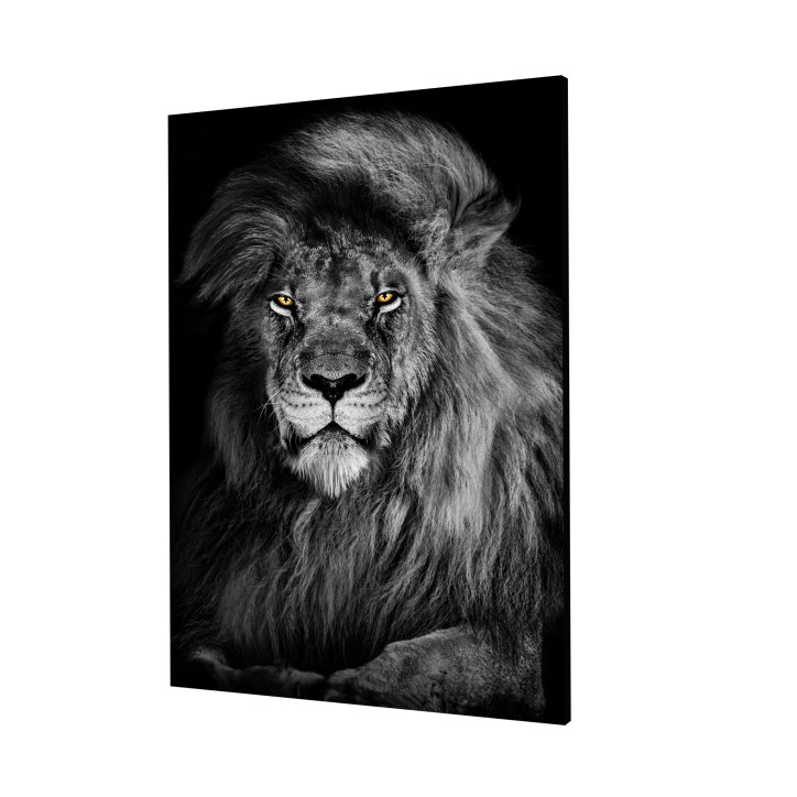 Cuadro Pintura Digital Leon Animal Salvaje