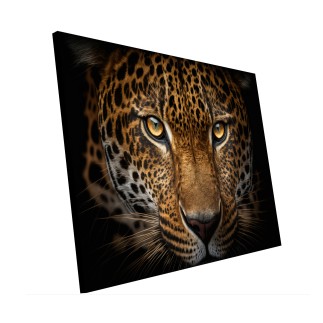 Cuadro Plano Fotografía Diseño Jaguar Mirada Desafiante